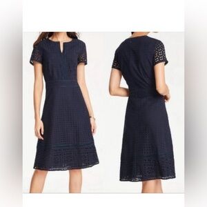 Ann Taylor Blue Mixed Eyelet Flare Dress Sz 0
